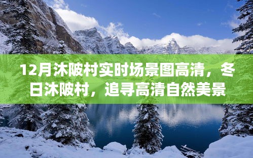 冬日沐陂村高清實(shí)時(shí)場(chǎng)景圖，探尋自然美景，解鎖內(nèi)心寧靜的密碼