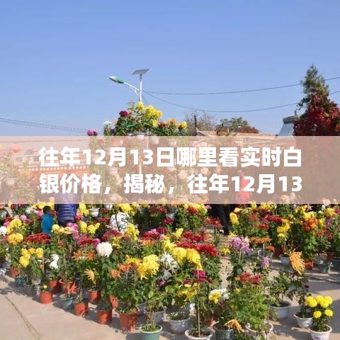 揭秘，如何實時觀測往年及特定日期（如12月13日）白銀價格走勢的途徑