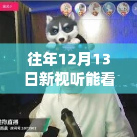 探秘小巷深處的視聽(tīng)盛宴，揭秘往年12月13日新視聽(tīng)直播實(shí)況與期待能否如約而至？