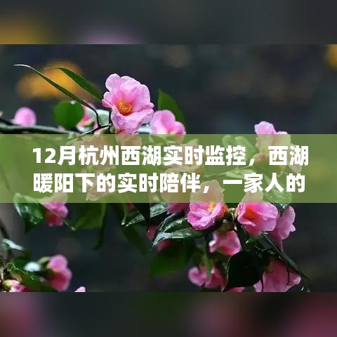 西湖暖陽下的溫馨時光，家庭實時陪伴與監(jiān)控記錄