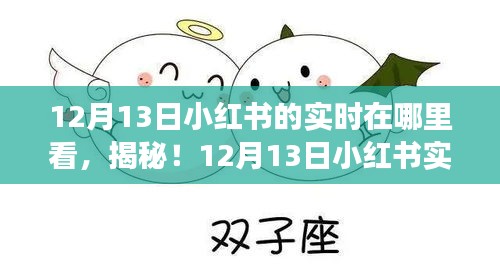 揭秘新功能，如何查看12月13日小紅書(shū)實(shí)時(shí)動(dòng)態(tài)，科技魅力重塑生活體驗(yàn)！