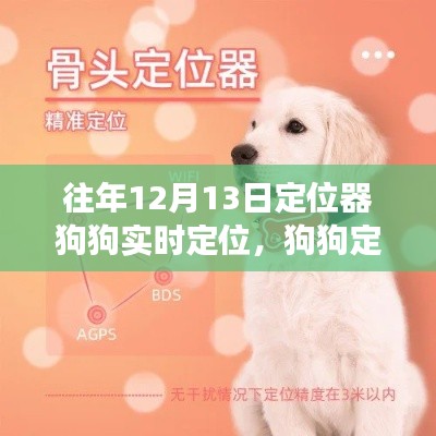 狗狗定位器的奇妙日，如何在變化中學(xué)習(xí)并自信閃耀