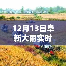 阜新市12月13日大雨事件，實時播報與觀點探析及立場闡述