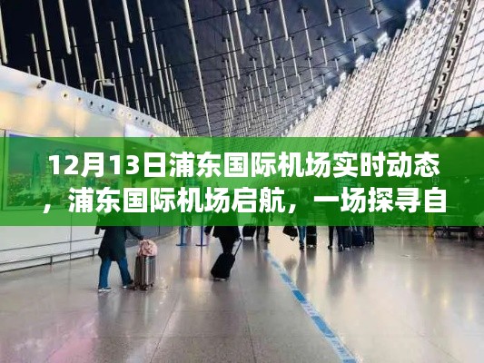 浦東國際機(jī)場啟航，探尋自然美景的心靈之旅實(shí)時(shí)動(dòng)態(tài)