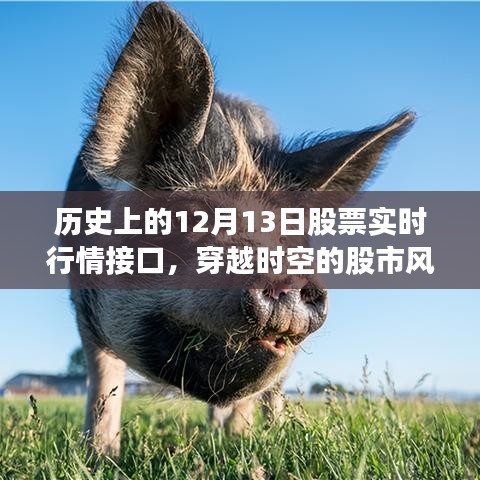 探尋歷史上的股票風云，揭秘股市行情接口穿越時空之旅——以十二月十三日為例