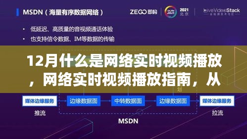 網(wǎng)絡實時視頻播放詳解，從入門到精通的指南（適合初學者與進階用戶）