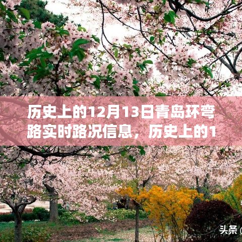青島環(huán)彎路逆風砥礪行，歷史上的路況變遷與勵志篇章
