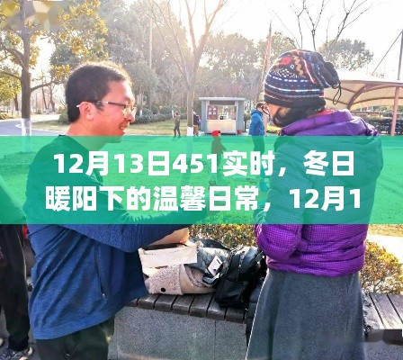 冬日暖陽(yáng)下的溫馨日常，12月13日451實(shí)時(shí)趣事分享