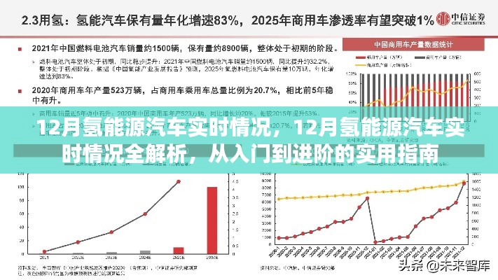實用指南，12月氫能源汽車實時情況全解析——從新手到專家的進(jìn)階之路