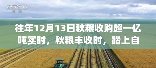 秋糧豐收時節(jié)，自然之旅與豐收喜悅的雙重體驗，探尋內(nèi)心的寧靜之洲