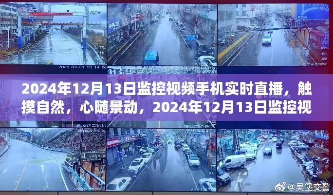 觸摸自然，心隨景動(dòng)，2024年12月13日監(jiān)控視頻手機(jī)實(shí)時(shí)直播大自然之旅