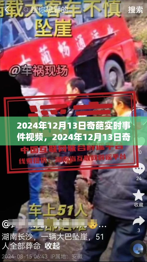 鳥集鱗萃 第3頁