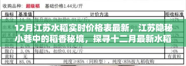 江蘇稻香秘境，十二月水稻實時價格與美食探尋之旅