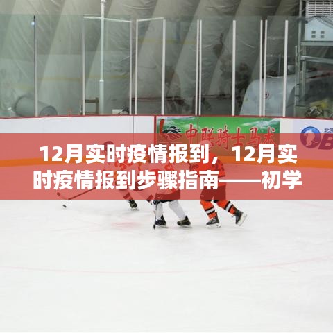 12月實時疫情報到全程指南，從初學(xué)者到進(jìn)階用戶的必備參考