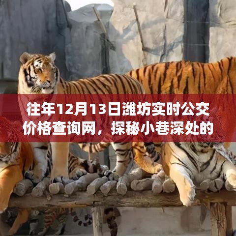 探秘小巷深處的公交情緣，濰坊實時公交價格查詢網(wǎng)故事