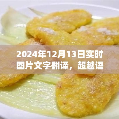 超越語言界限，實(shí)時(shí)圖片文字翻譯的魅力與勵(lì)志故事——2024年12月13日紀(jì)實(shí)標(biāo)題