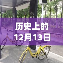 歷史上的實(shí)時(shí)公交網(wǎng)誕生與發(fā)展回顧，聚焦十二月十三日的重要時(shí)刻