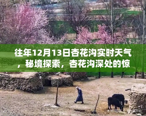 揭秘杏花溝秘境，特色小店與實時天氣探索之旅