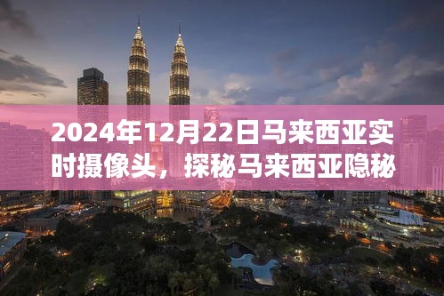 探秘馬來西亞特色小店，實(shí)時(shí)攝像頭下的隱秘日常（2024年12月22日）