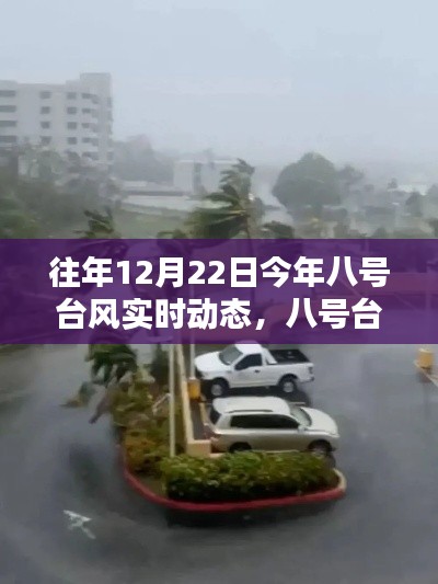八號臺風(fēng)下的溫馨日常，特殊時光的共度與記錄