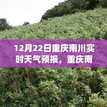 重慶南川天氣預(yù)報之旅，變化中的學(xué)習(xí)，鑄就自信與力量的未來