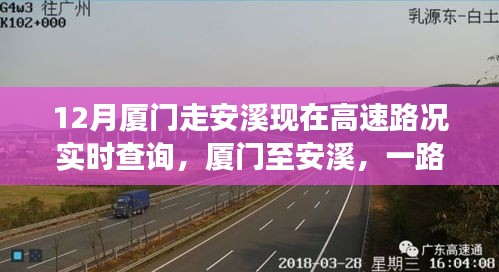 廈門至安溪高速之旅，實(shí)時(shí)路況查詢與溫情脈脈的同行體驗(yàn)