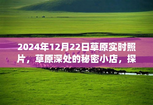 草原深處的秘境，探索未知美食與秘密小店——草原實時照片紀(jì)實