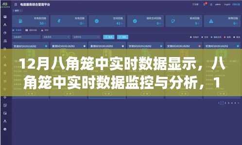 12月八角籠中實(shí)時(shí)數(shù)據(jù)監(jiān)控與分析，操作指南及數(shù)據(jù)解讀