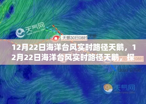 探尋臺(tái)風(fēng)天鵝的神秘之旅，最新實(shí)時(shí)路徑追蹤報(bào)告（12月22日）