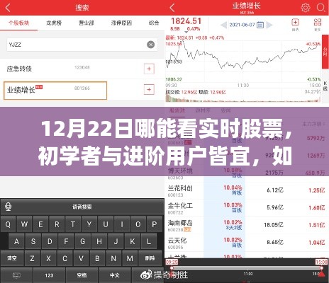 12月22日實時股票行情查看指南，適合初學者與進階用戶的詳細步驟