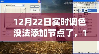 12月22日實(shí)時(shí)調(diào)色功能受限，性能、體驗(yàn)與競(jìng)品對(duì)比深度解析