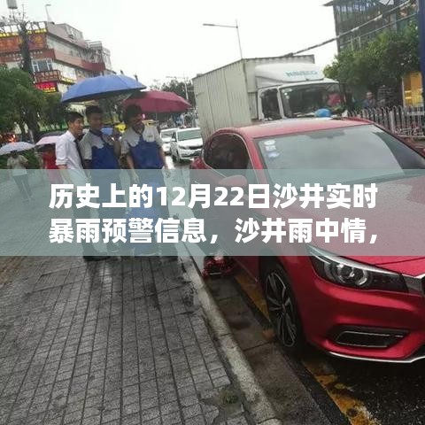 沙井暴雨預(yù)警故事，溫馨日常的預(yù)警與關(guān)懷