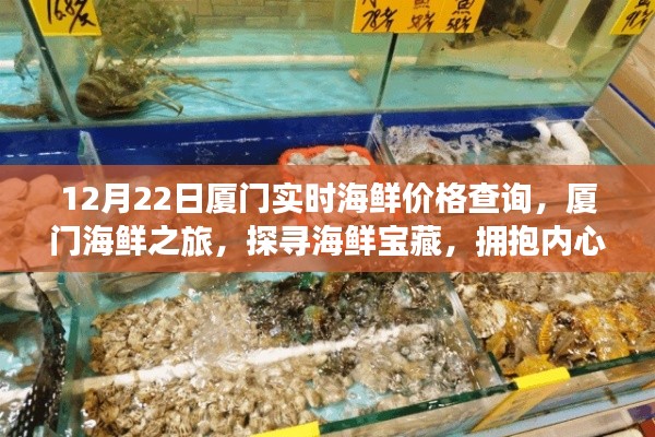 廈門海鮮之旅，探尋寶藏海鮮，實時價格查詢與寧靜體驗
