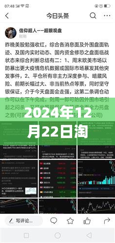 淘金客的自然之旅，尋找內(nèi)心的寧靜與自然的魔法——實時解盤 2024年12月22日