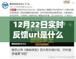 揭秘，12月22日實(shí)時(shí)反饋URL的含義與成就感的源泉
