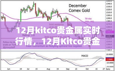 12月Kitco貴金屬實(shí)時行情深度解析與走勢預(yù)測