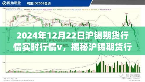 揭秘滬錫期貨行情，深度解讀實時走勢與市場機遇挑戰(zhàn)（2024年12月22日）