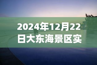 大東海景區(qū)之旅，探索自然美景，尋找內(nèi)心的寧靜與喜悅（實時報道）
