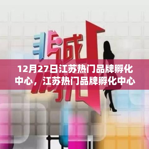 江蘇熱門品牌孵化中心，雙刃劍效應(yīng)的深度剖析