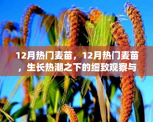 獨學寡聞 第2頁
