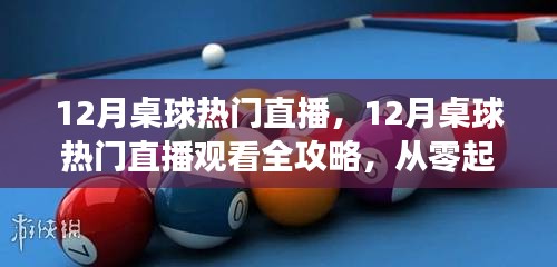 從零起步到精彩對(duì)決，12月桌球直播觀看全攻略與熱門對(duì)決指南