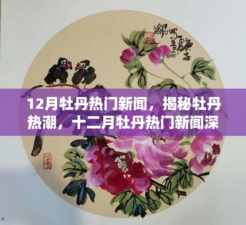 揭秘十二月牡丹熱潮，熱門新聞深度解析