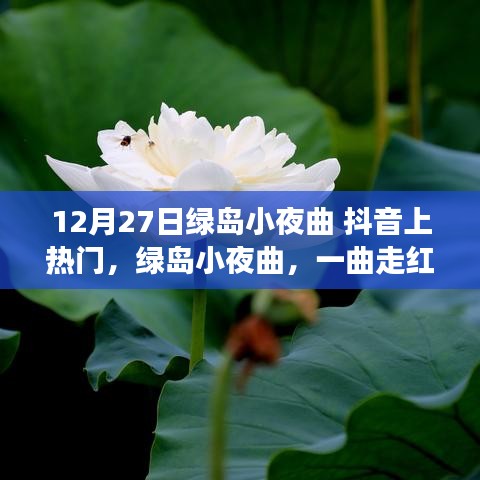 綠島小夜曲，抖音上的傳奇走紅故事