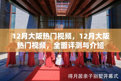 大阪十二月熱門視頻全面評(píng)測(cè)與介紹