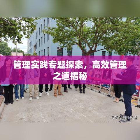 管理實(shí)踐專題探索，高效管理之道揭秘