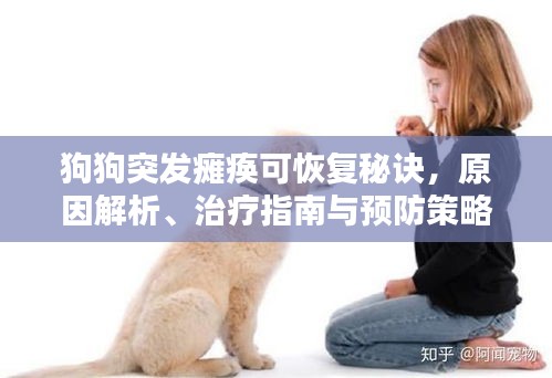 狗狗突發(fā)癱瘓可恢復(fù)秘訣，原因解析、治療指南與預(yù)防策略