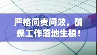嚴(yán)格問責(zé)問效，確保工作落地生根！