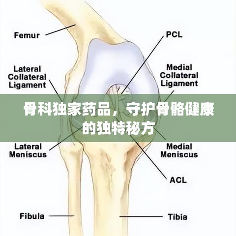 骨科獨(dú)家藥品，守護(hù)骨骼健康的獨(dú)特秘方