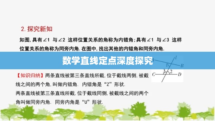 明目張膽 第2頁