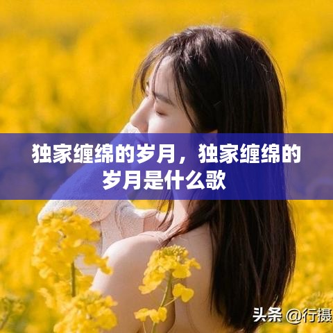 獨家纏綿的歲月，獨家纏綿的歲月是什么歌 
